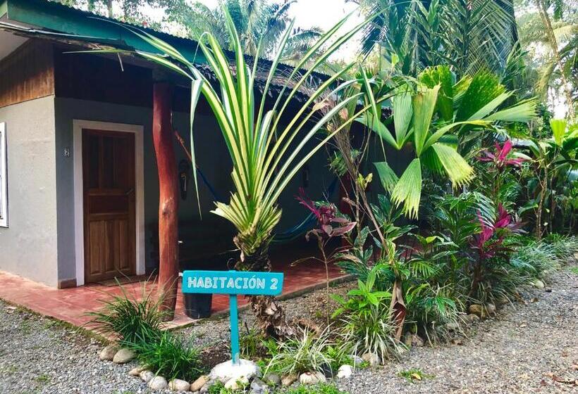 اتاق خانوادگی, Tasty Dayz Hostel