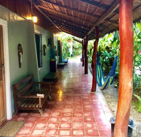 اتاق خانوادگی, Tasty Dayz Hostel