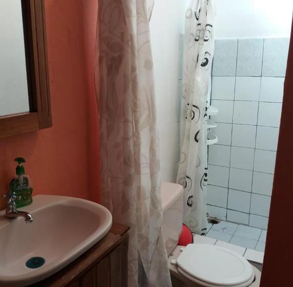 اتاق استاندارد اینتریور, Tasty Dayz Hostel