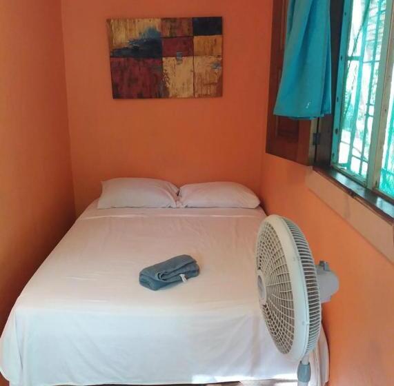 اتاق استاندارد اینتریور, Tasty Dayz Hostel