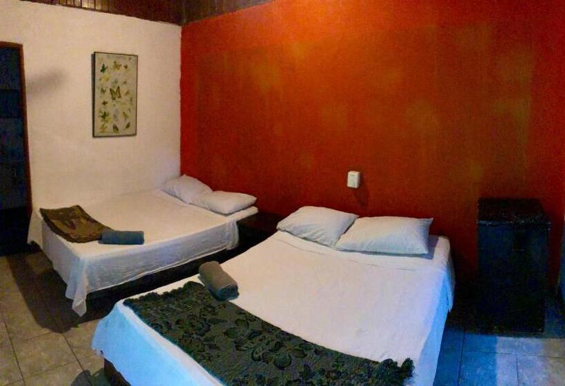 Standard Triple Room with Terrace, Tasty Dayz Hostel