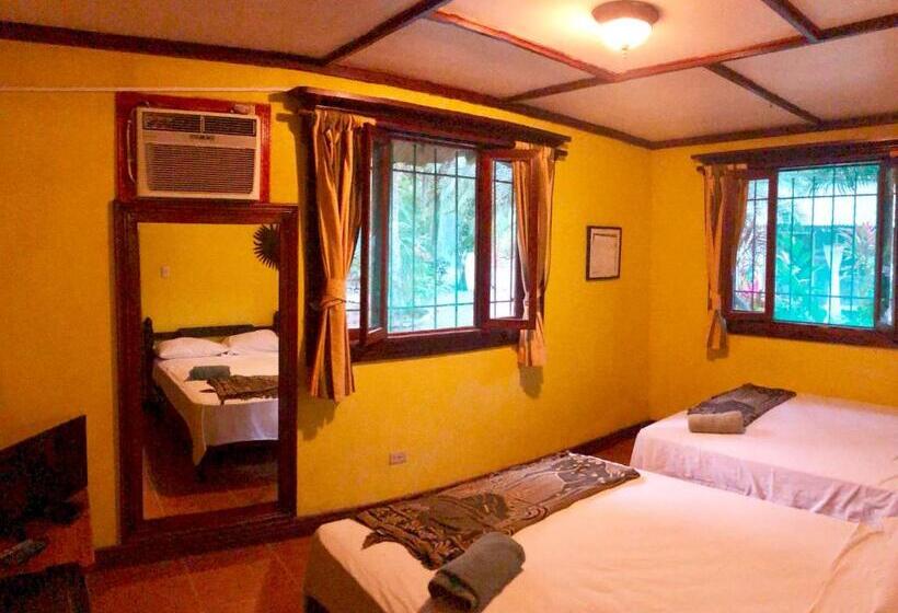اتاق سوپریور چهار تخته, Tasty Dayz Hostel