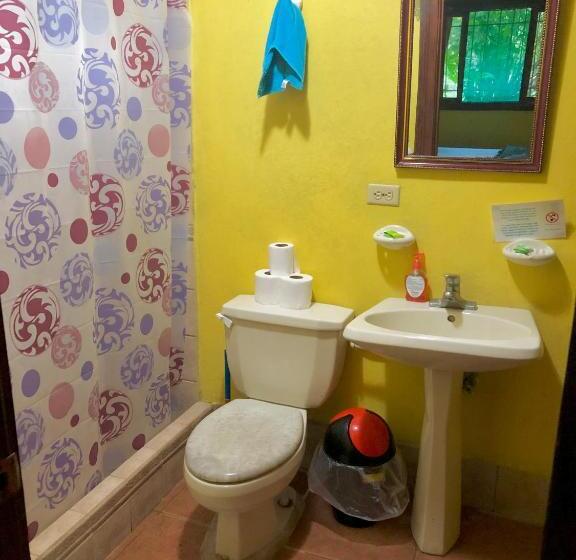 اتاق سوپریور چهار تخته, Tasty Dayz Hostel