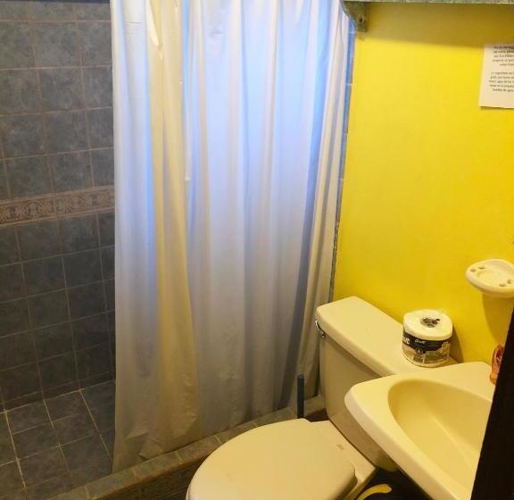 اتاق سوپریور چهار تخته, Tasty Dayz Hostel