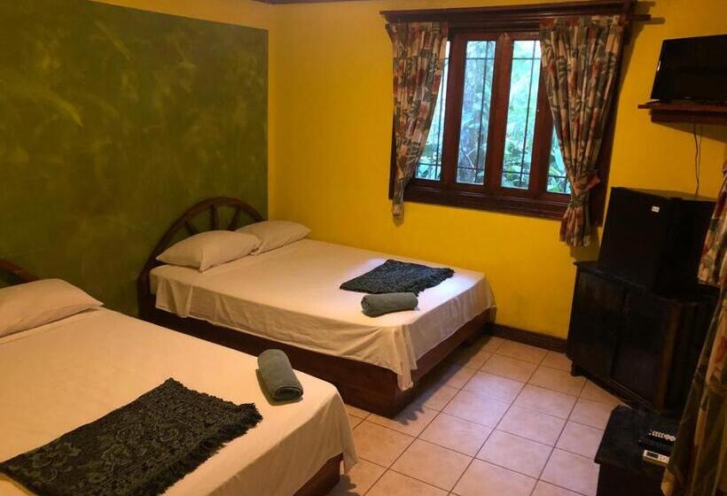 اتاق سوپریور چهار تخته, Tasty Dayz Hostel