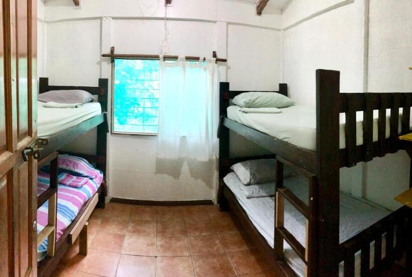 تختخواب در اتاق مشترک, Tasty Dayz Hostel