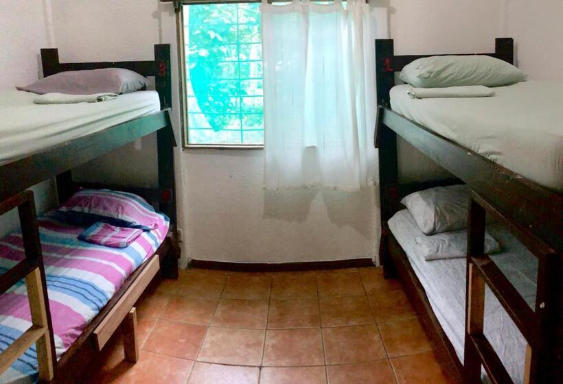 تختخواب در اتاق مشترک, Tasty Dayz Hostel