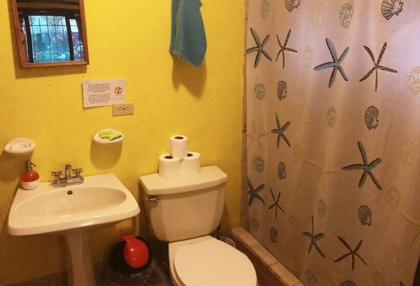 اتاق سوپریور چهار تخته, Tasty Dayz Hostel