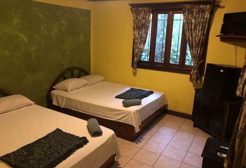 اتاق سوپریور چهار تخته, Tasty Dayz Hostel