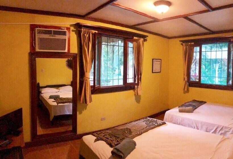 اتاق سوپریور چهار تخته, Tasty Dayz Hostel