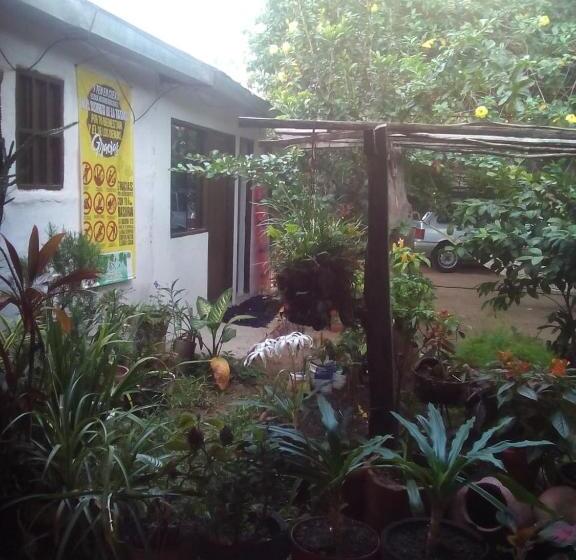 اتاق خانوادگی, Hostal Villa Cecilia