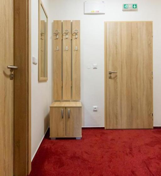 اتاق استاندارد یک نفره, Ungar
