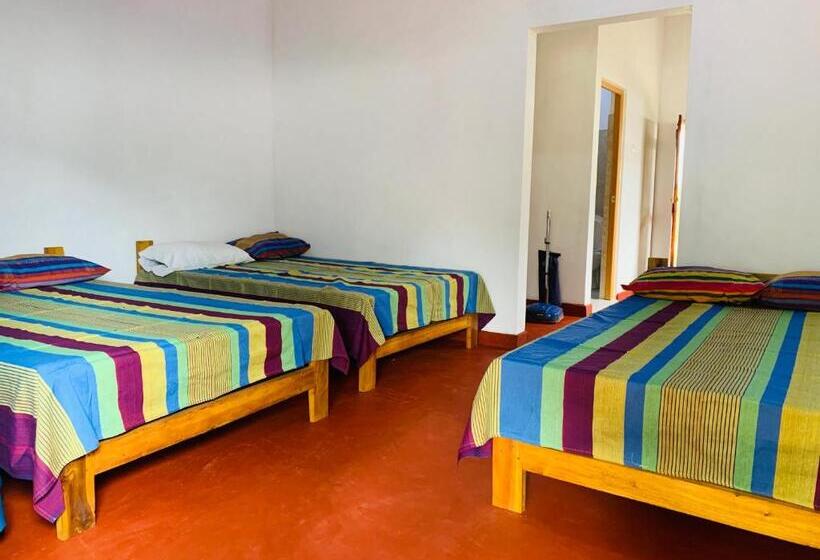 اتاق خانوادگی, Coco Garden Holiday Homes