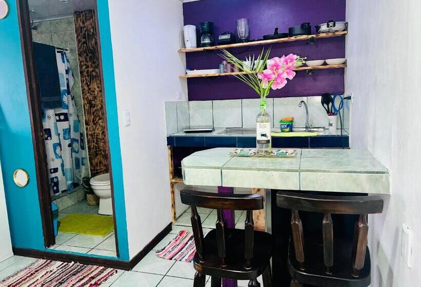 استودیوی استاندارد, Nomada S Digital