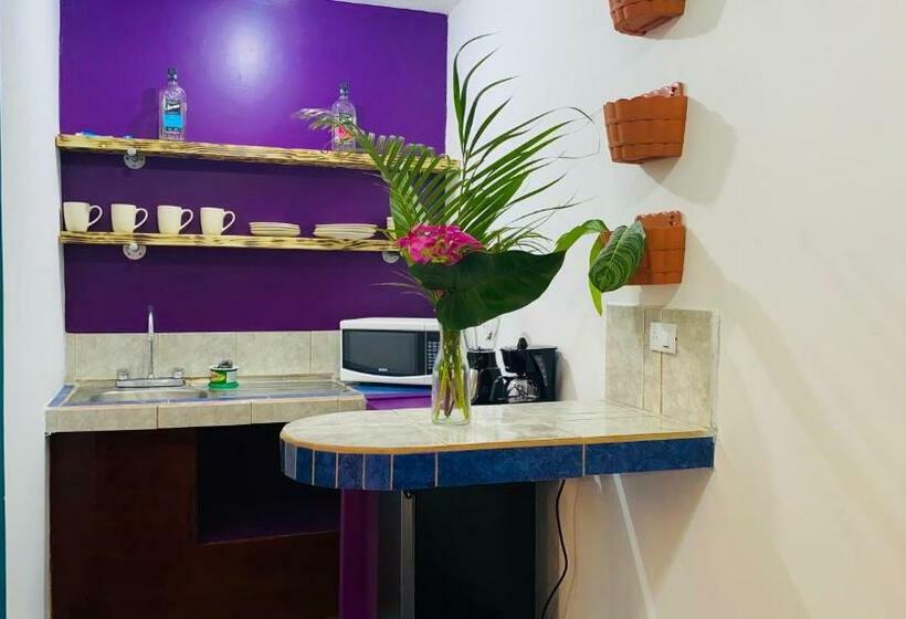 استودیوی استاندارد, Nomada S Digital