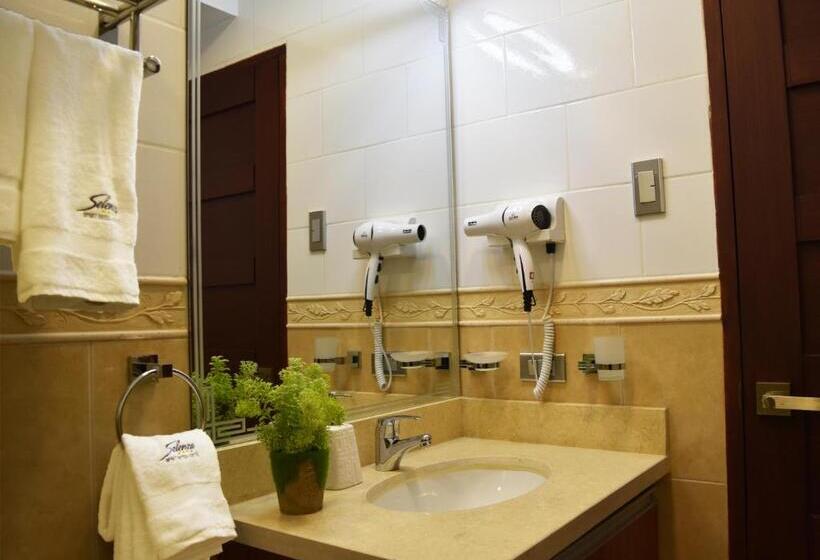آپارتمان 1 خوابه, Apart Hotel Selenza