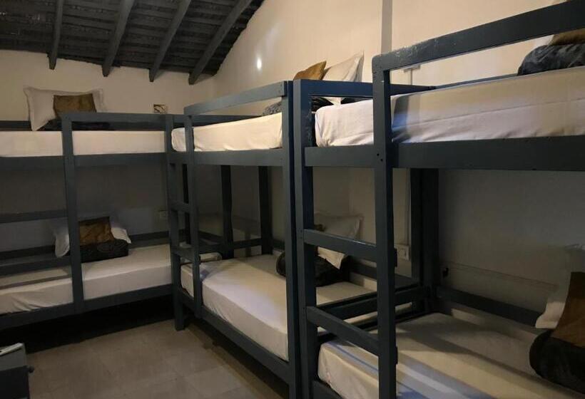 تختخواب در اتاق مشترک, Craft Hostels