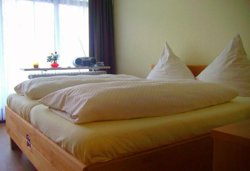 آپارتمان سوپریور 1 خوابه, Chalet Swiss   App.nelles