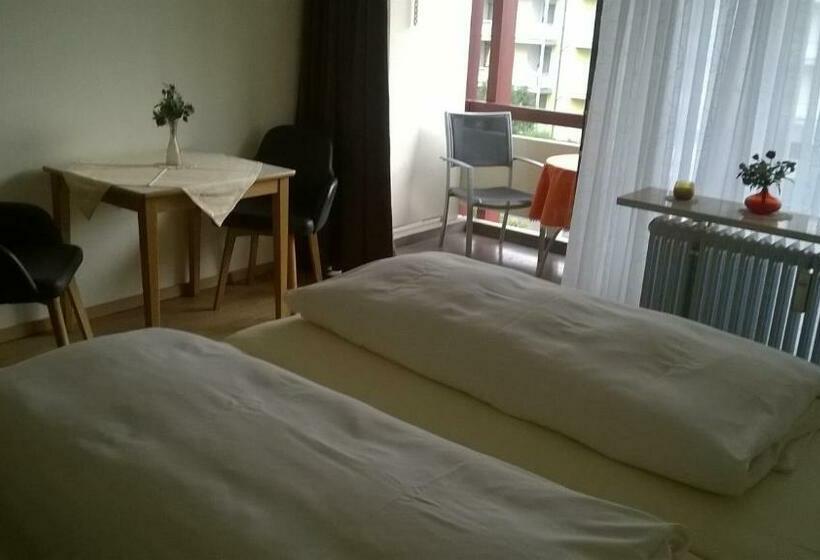 آپارتمان سوپریور 1 خوابه, Chalet Swiss   App.nelles