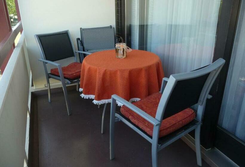 آپارتمان سوپریور 1 خوابه, Chalet Swiss   App.nelles