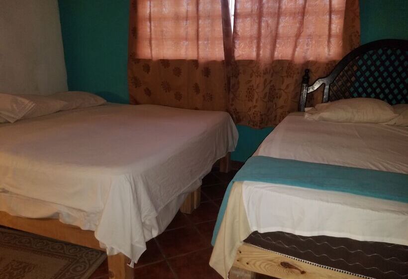 اتاق راحتی یک تخته, Hostel Enjoy Vallarta 19