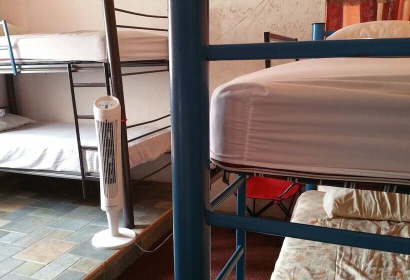 اتاق خانوادگی, Hostel Enjoy Vallarta 19