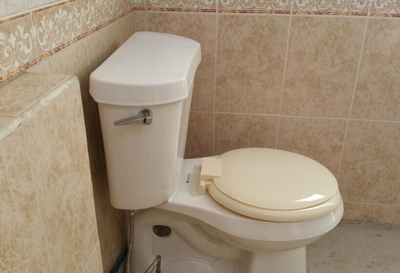 اتاق خانوادگی, Hostel Enjoy Vallarta 19