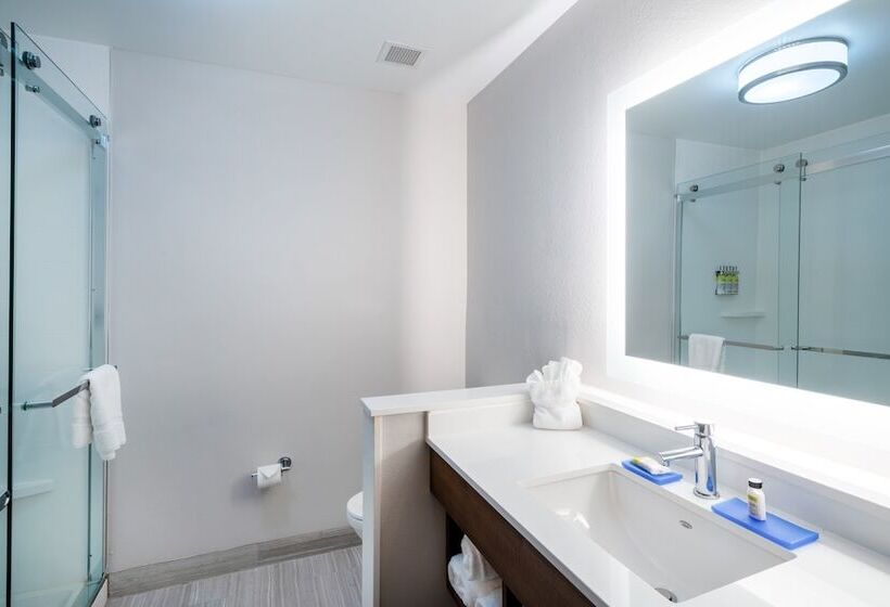 اتاق استاندارد, Holiday Inn Express & Suites Atlanta Airport Ne   Hapeville, An Ihg