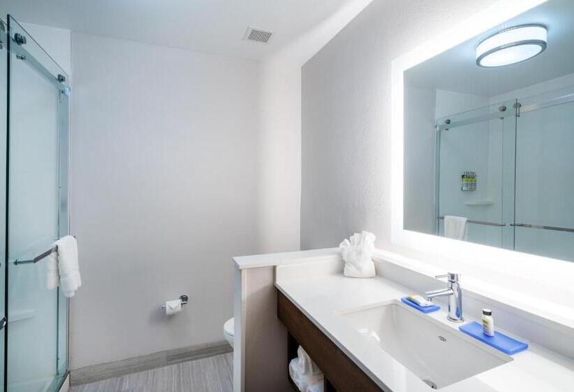 اتاق استاندارد با تخت بزرگ, Holiday Inn Express & Suites Atlanta Airport Ne   Hapeville, An Ihg