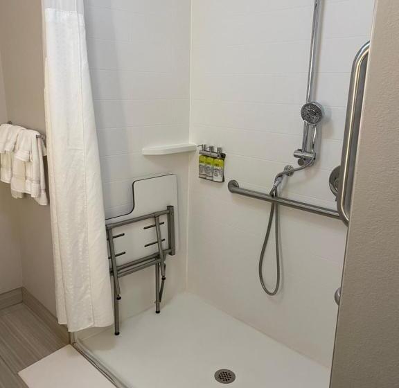 اتاق استاندارد با تخت بزرگ برای معلولان, Holiday Inn Express & Suites Atlanta Airport Ne   Hapeville, An Ihg