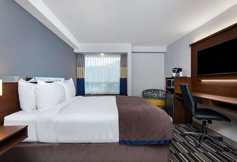 اتاق کلاس بیزنس, Microtel Inn & Suites By Wyndham Mont Tremblant