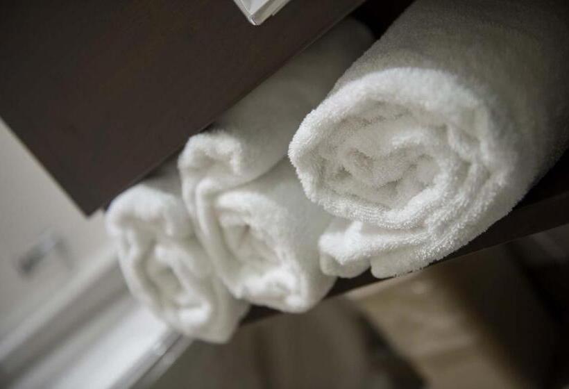 اتاق استاندارد, Microtel Inn & Suites By Wyndham Mont Tremblant