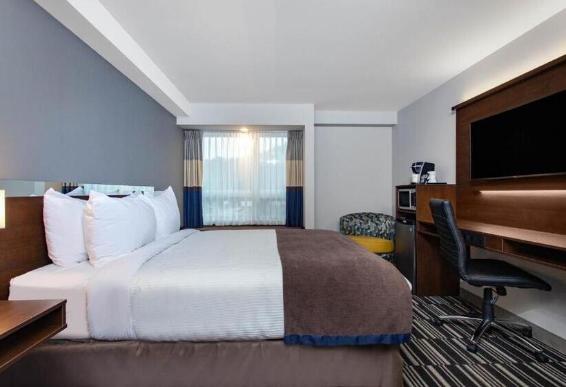 اتاق استاندارد, Microtel Inn & Suites By Wyndham Mont Tremblant