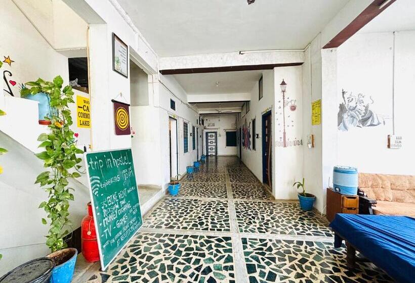 اتاق استاندارد سه نفره, Trip In Hostel