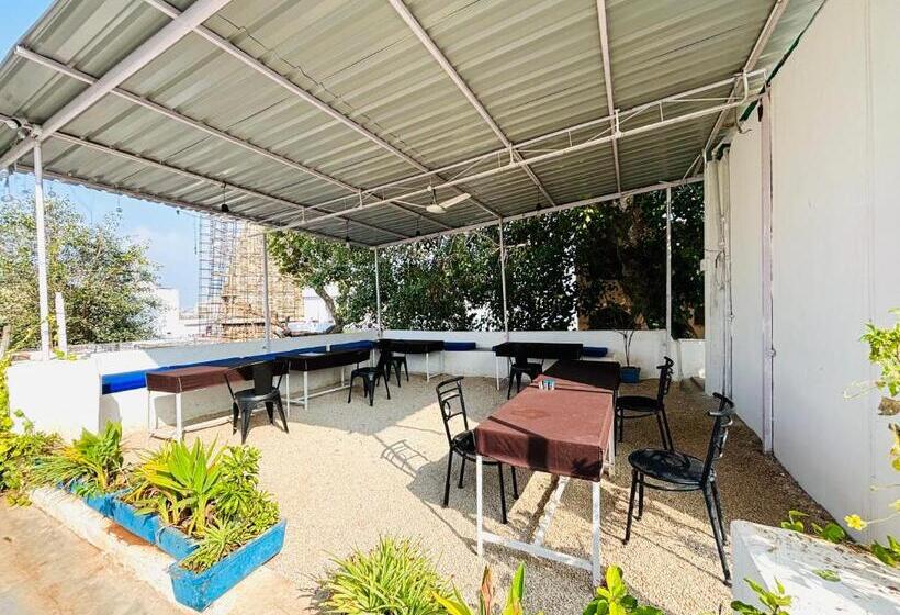 تختخواب در اتاق مشترک, Trip In Hostel