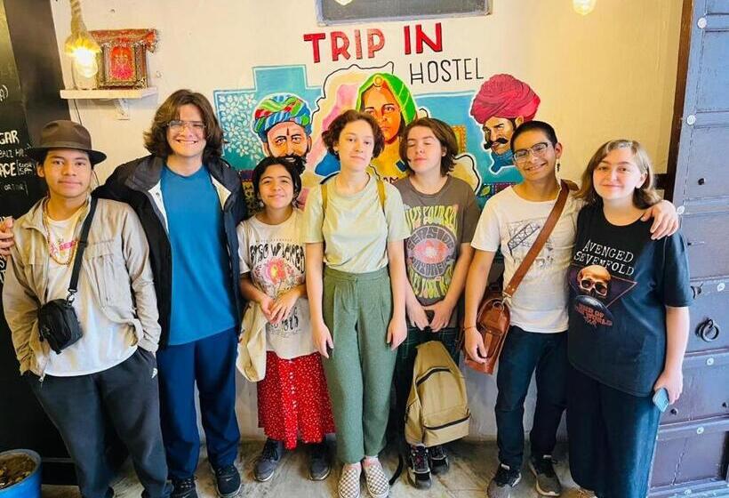 تختخواب در اتاق مشترک, Trip In Hostel