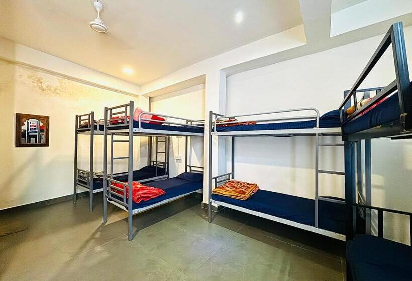 تختخواب در اتاق مشترک, Trip In Hostel