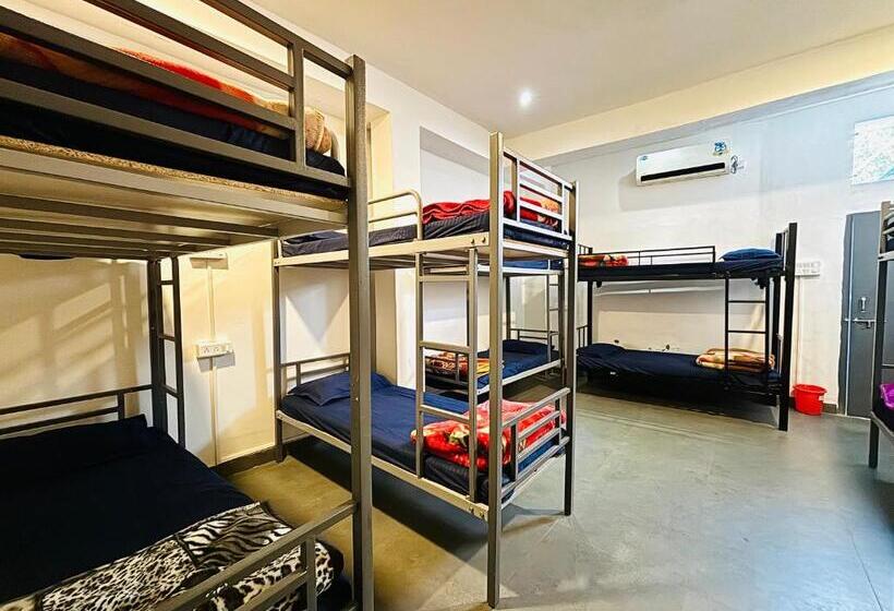 تختخواب در اتاق مشترک, Trip In Hostel