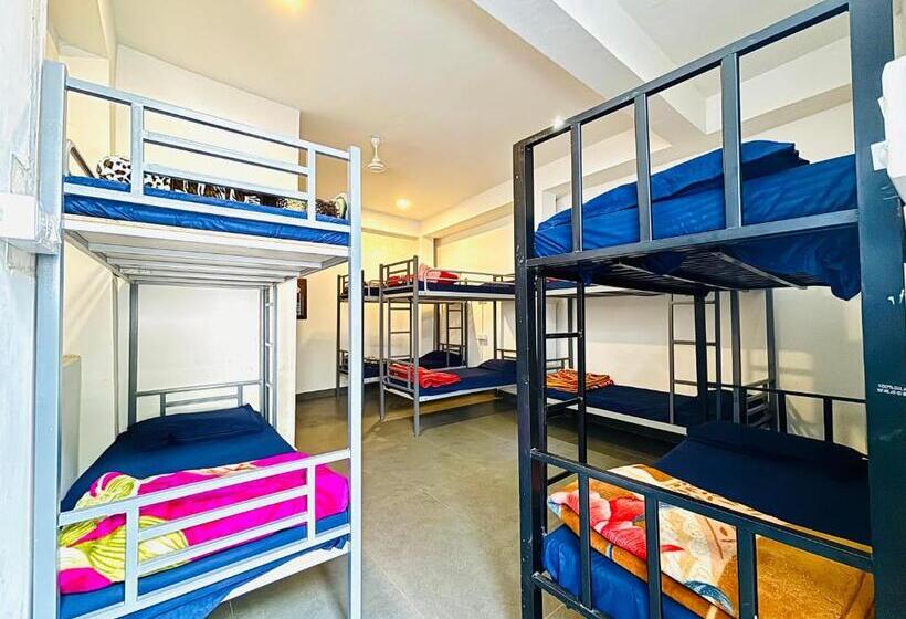 تختخواب در اتاق مشترک, Trip In Hostel