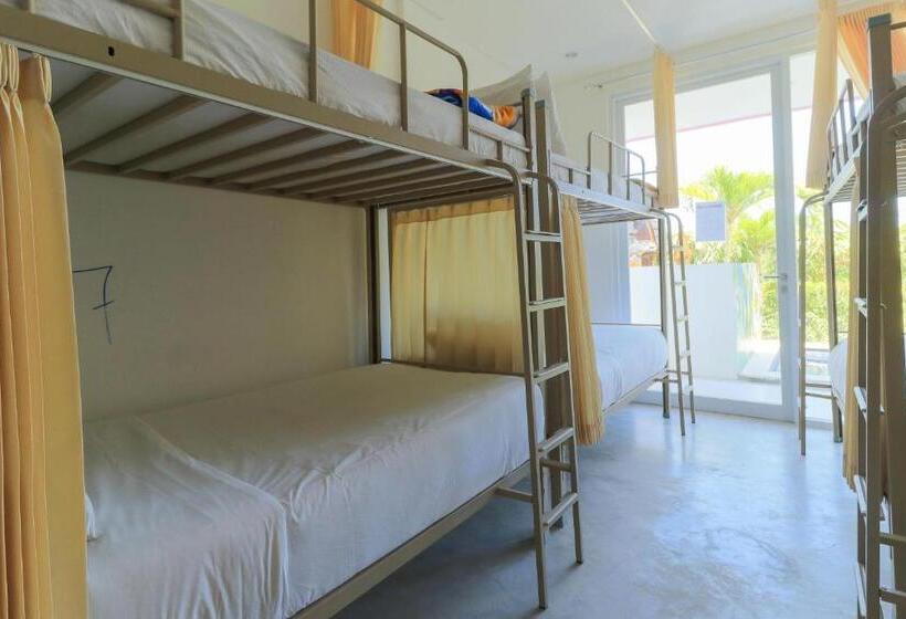 Bed in Shared Room with Shared Bathroom, Margarita Surf Hostel Canggu