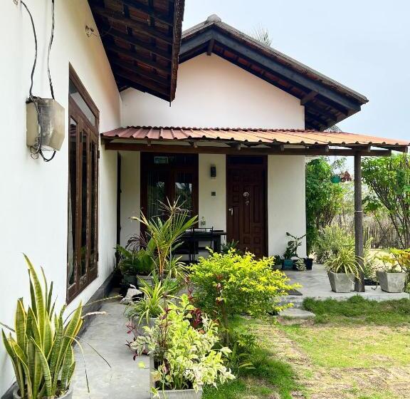 اتاق لوکس, Aiden Homestay
