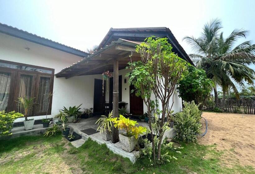 اتاق لوکس, Aiden Homestay