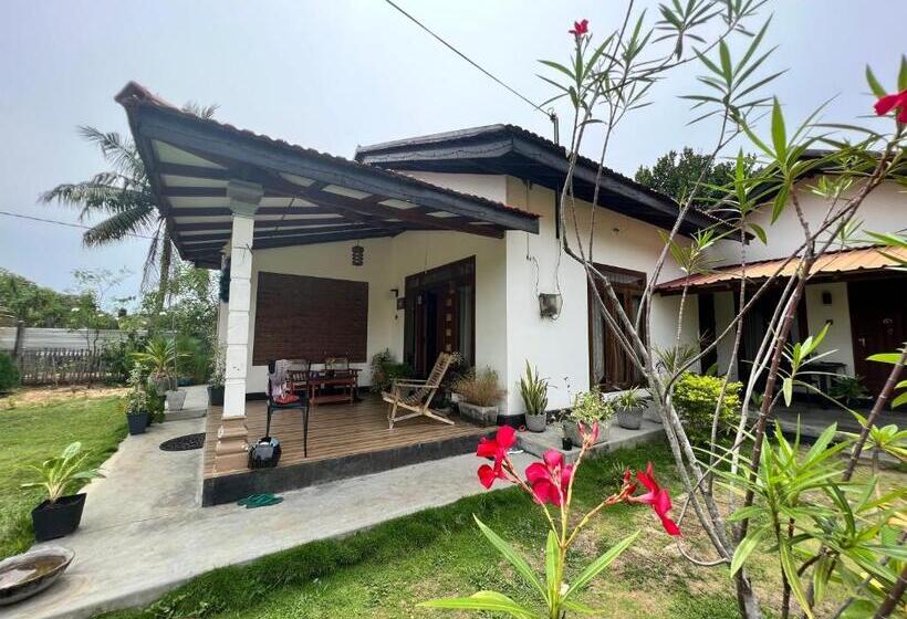 اتاق خانوادگی, Aiden Homestay