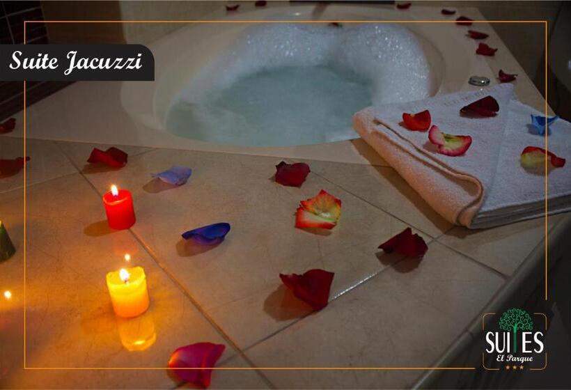 اتاق استاندارد با وان آب گرم, Suites El Parque