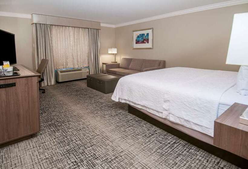 اتاق استاندارد با تخت بزرگ, Best Western Plus Guymon Hotel And Suites