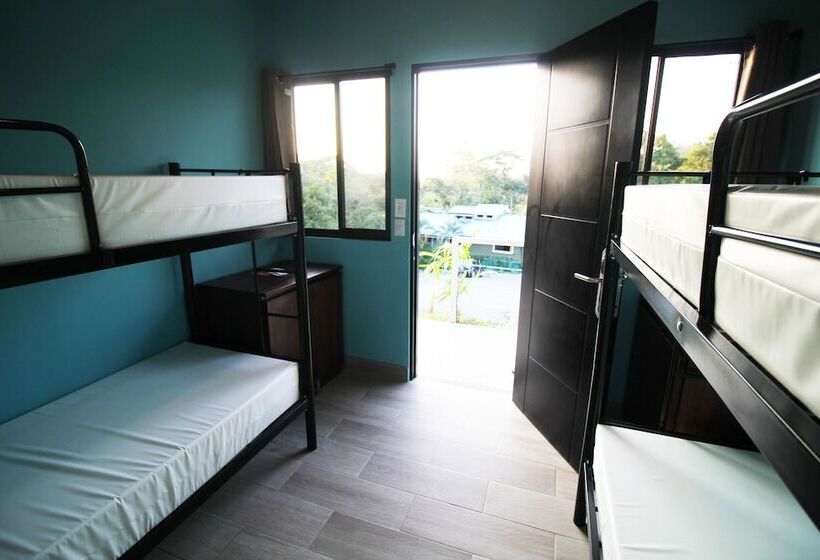 اتاق پایه چهارنفره با سرویس بهداشتی مشترک, Teva Hotel & Jungle Reserve
