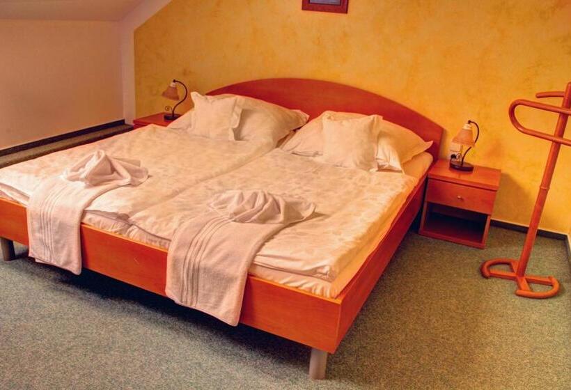 اتاق استاندارد با چشم‌انداز باغ, Birdie Pension & Wellness