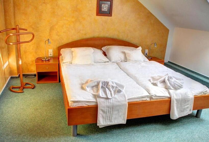 اتاق استاندارد با چشم‌انداز باغ, Birdie Pension & Wellness