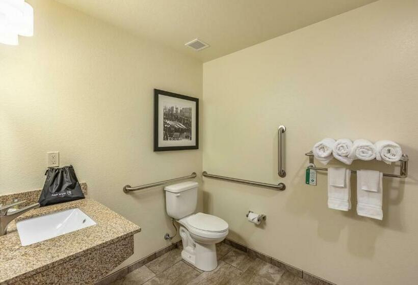اتاق استاندارد برای معلولان, Cobblestone Inn & Suites  Fairfield Bay