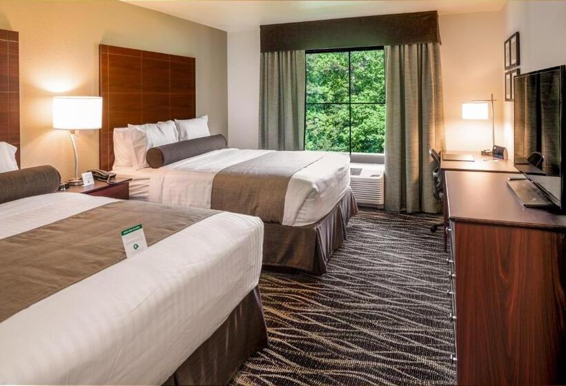 استودیوی لوکس, Cobblestone Inn & Suites  Fairfield Bay